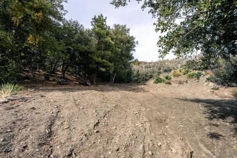 Timberline Dr