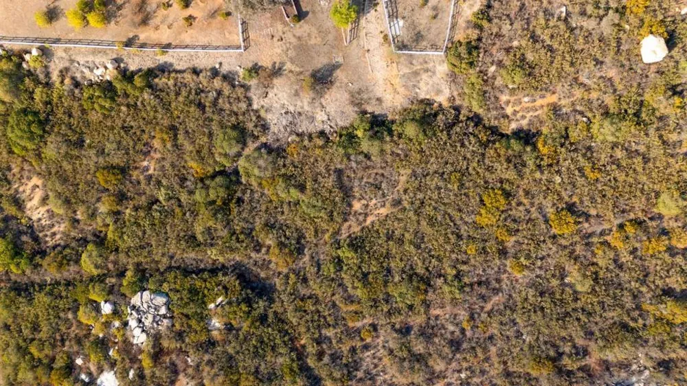 87 Presilla Dr Jamul, CA 91935