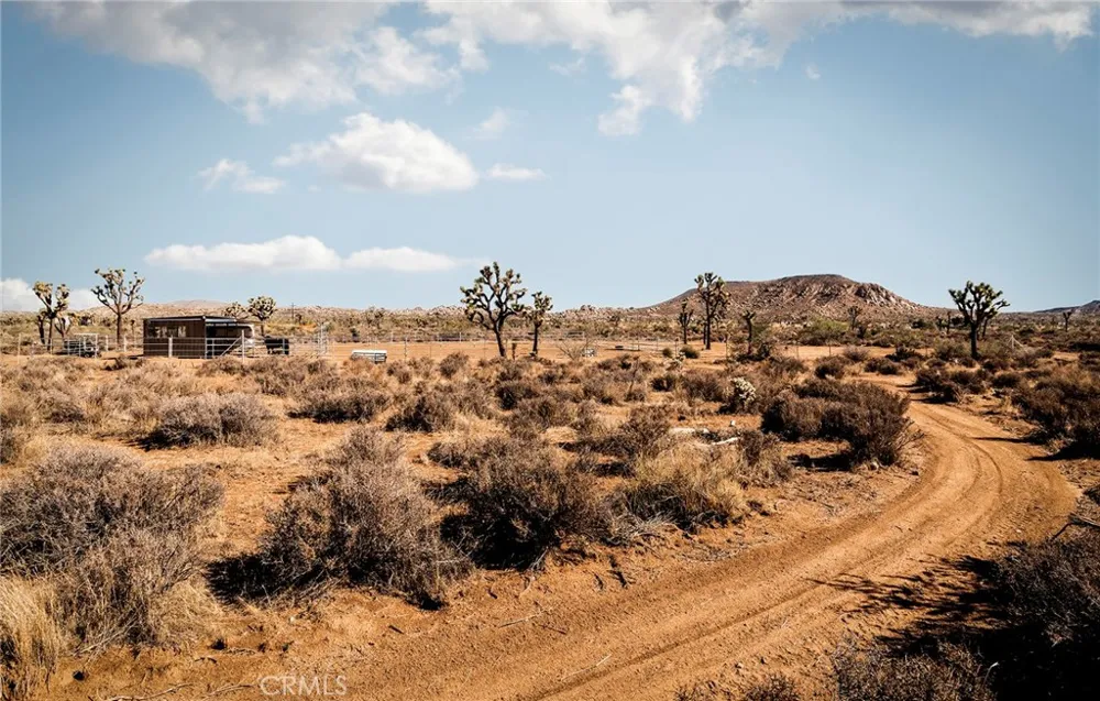 2680 Vine Pioneertown, CA 92268