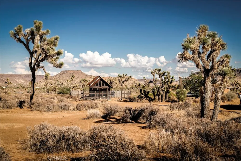 2680 Vine Pioneertown, CA 92268