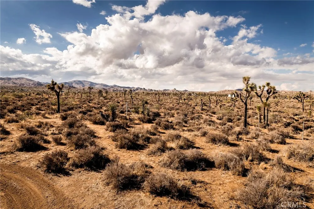 2680 Vine Pioneertown, CA 92268