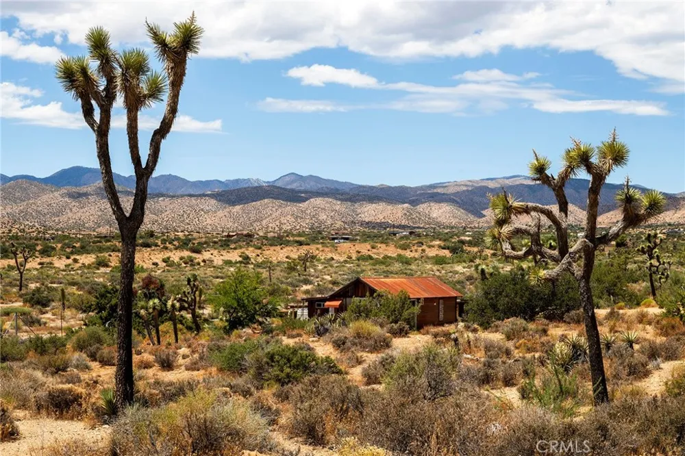2680 Vine Pioneertown, CA 92268