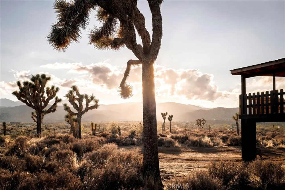 2680 Vine Pioneertown, CA 92268
