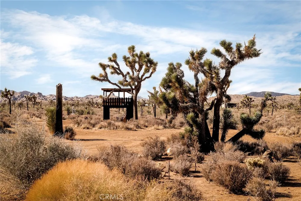 2680 Vine Pioneertown, CA 92268
