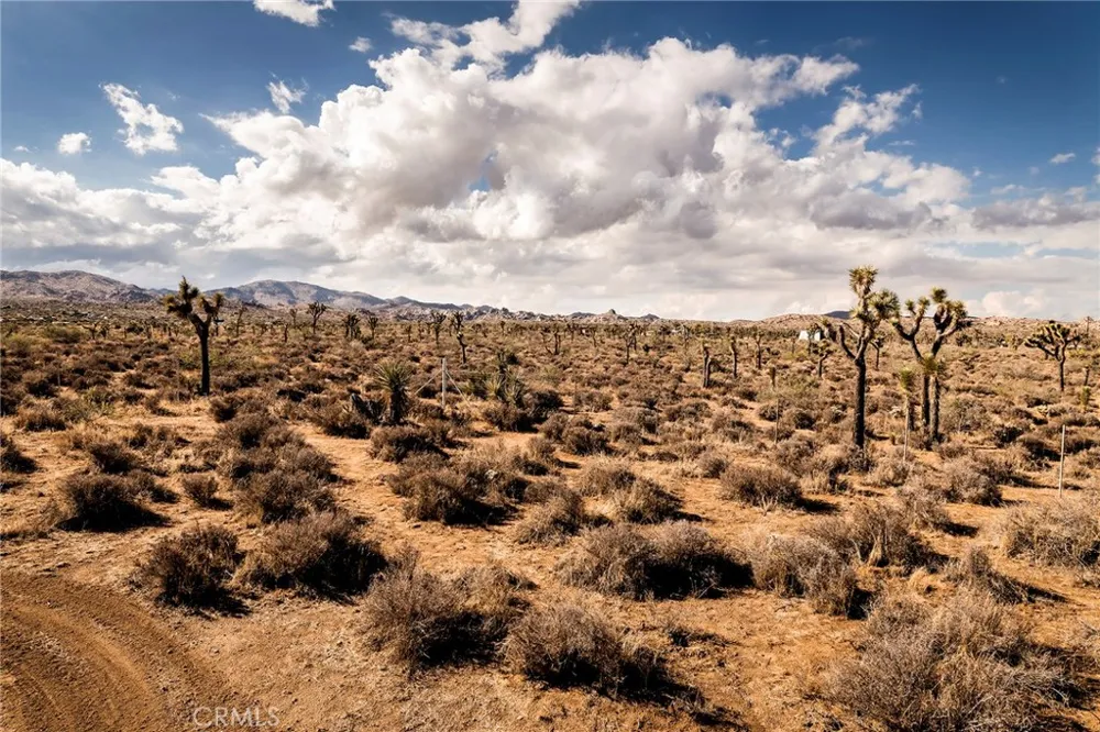 2680 Vine Pioneertown, CA 92268