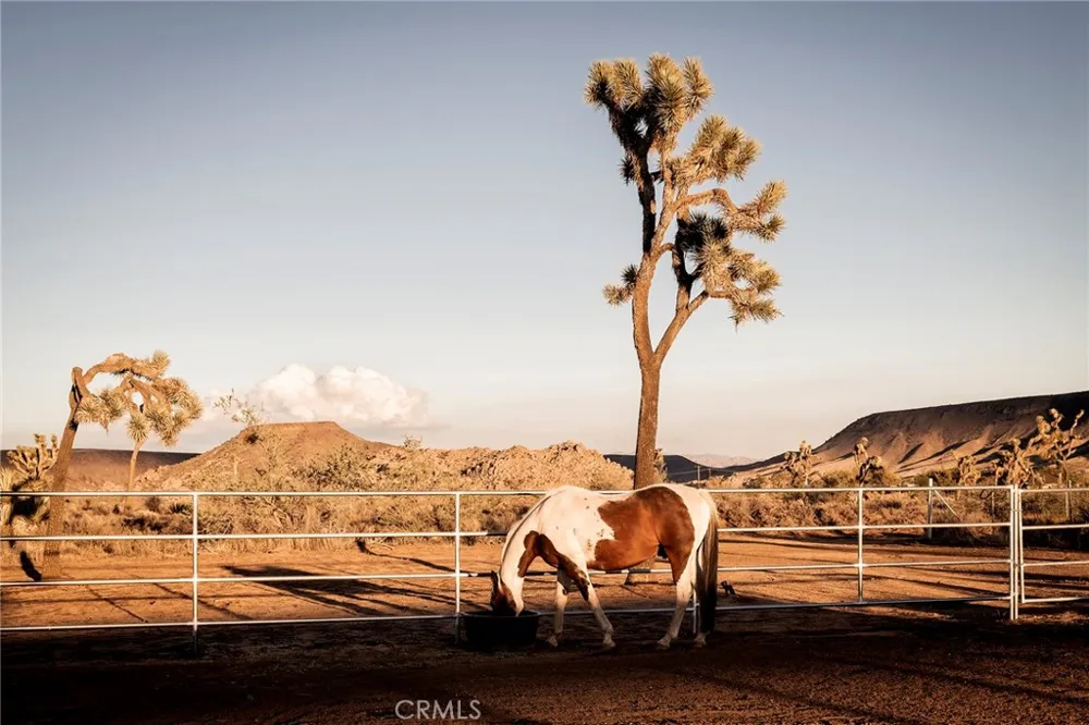 2680 Vine Pioneertown, CA 92268