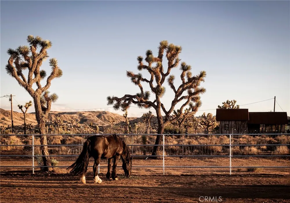2680 Vine Pioneertown, CA 92268