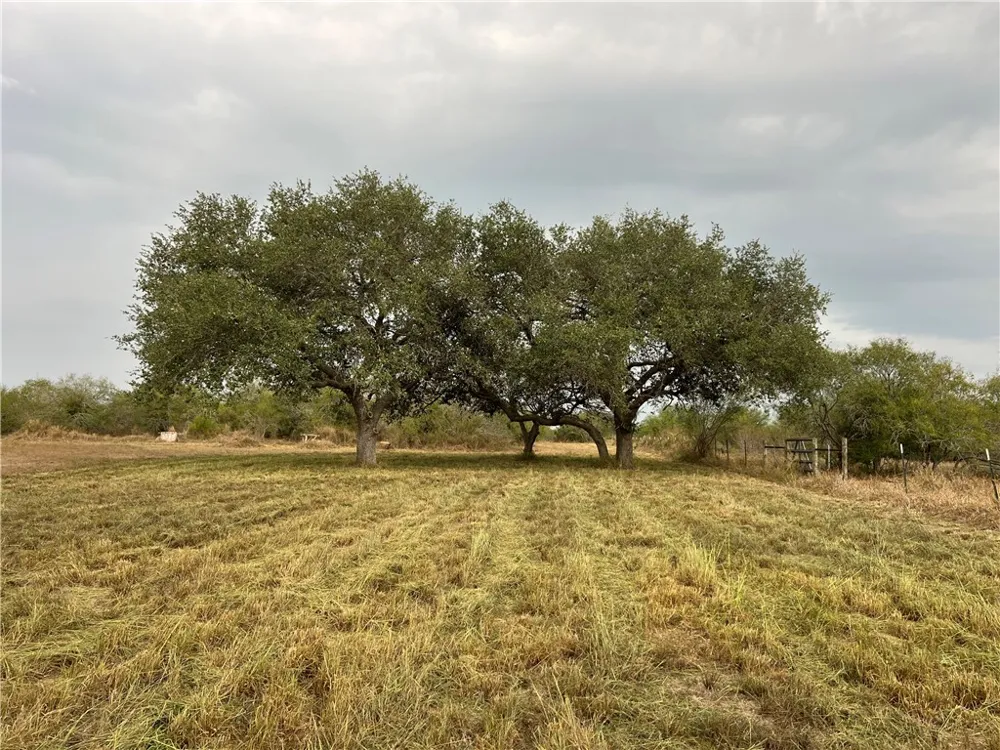 153 Boenig Road Woodsboro, TX 78393