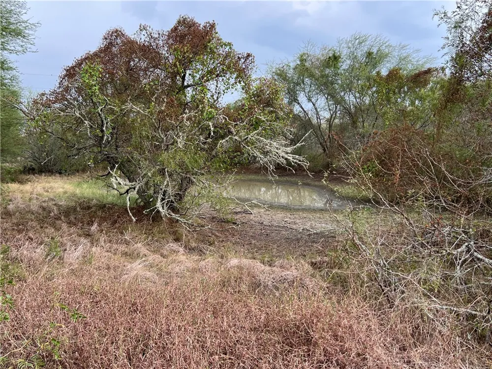 153 Boenig Road Woodsboro, TX 78393