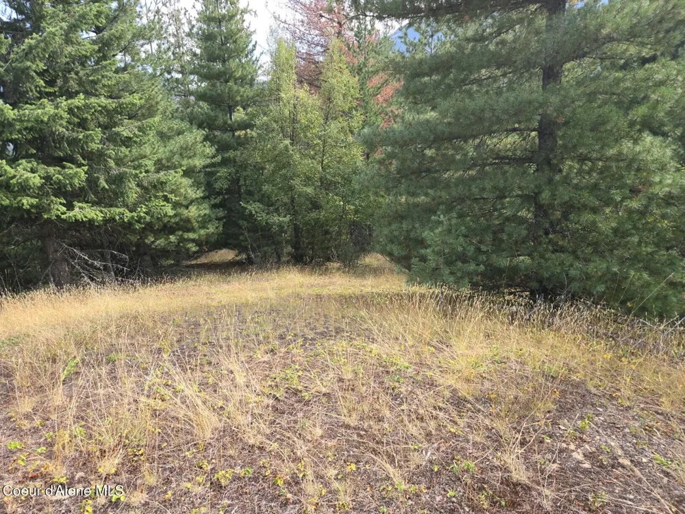 51833 Silver Valley Road Kellogg, ID 83837