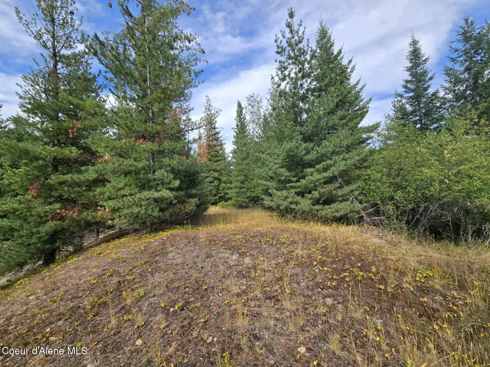 51833 Silver Valley Road Kellogg, ID 83837