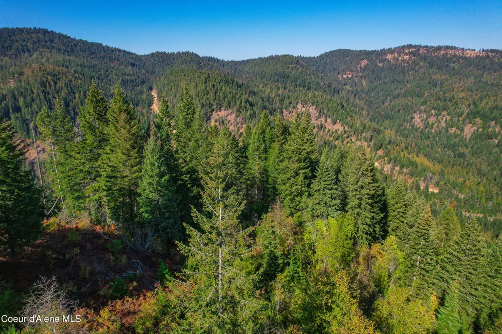 NNA Bodie Canyon Rd. Priest River, ID 83856