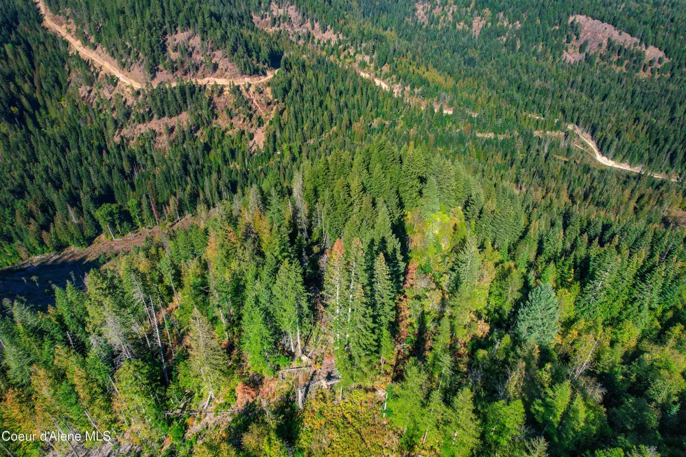 NNA Bodie Canyon Rd. Priest River, ID 83856