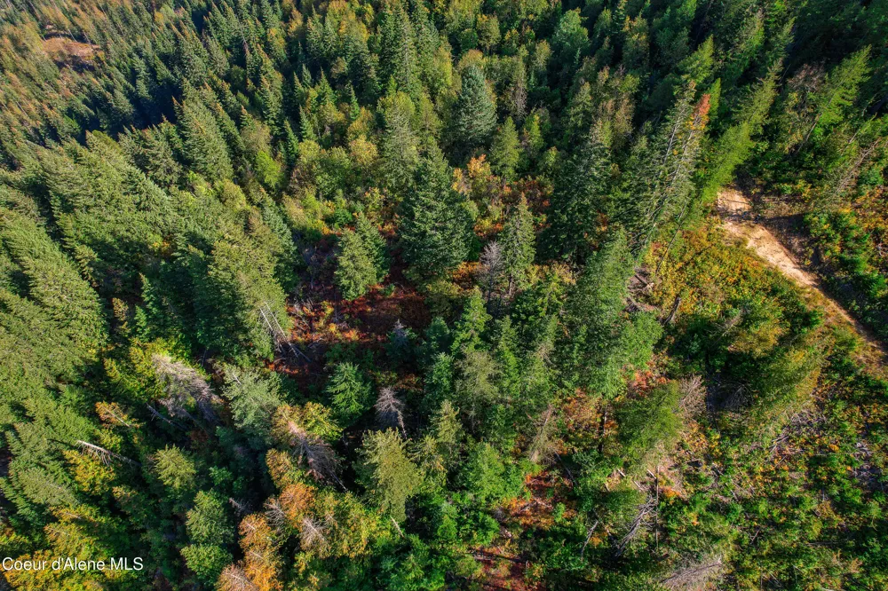 NNA Bodie Canyon Rd. Priest River, ID 83856