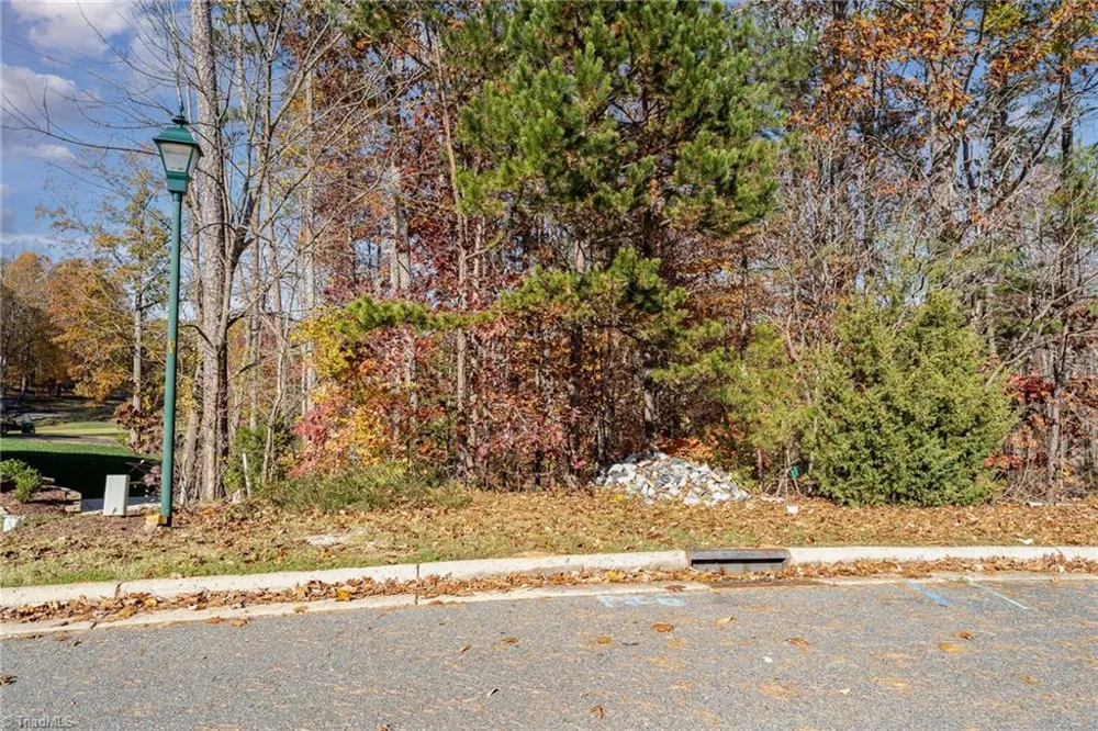 011 High Meadow Drive Asheboro, NC 27205