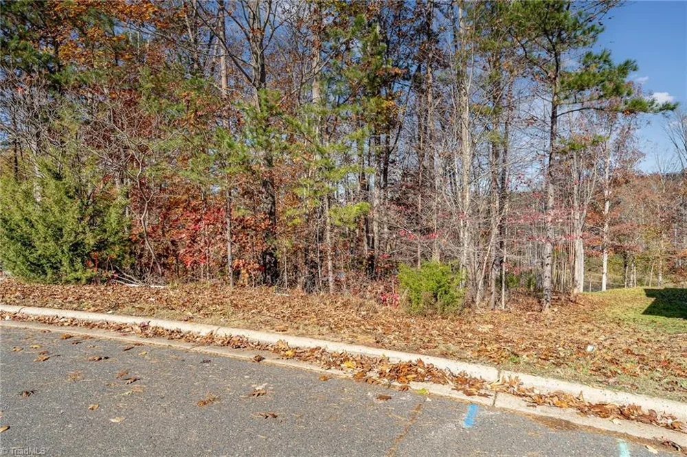 011 High Meadow Drive Asheboro, NC 27205