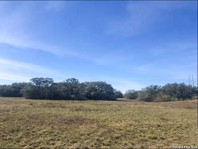 1173 Charco Rd Tuleta, TX 78162