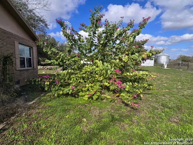 1173 Charco Rd Tuleta, TX 78162
