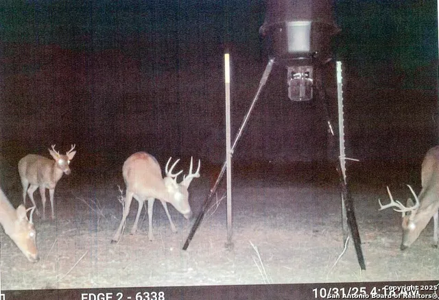 1173 Charco Rd Tuleta, TX 78162