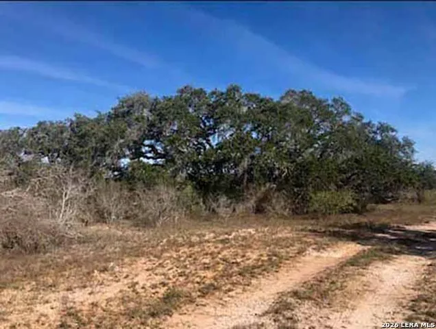 1173 Charco Rd Tuleta, TX 78162