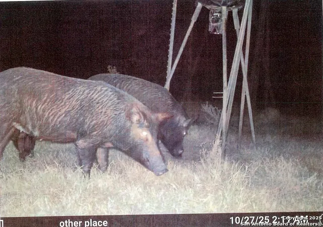 1173 Charco Rd Tuleta, TX 78162