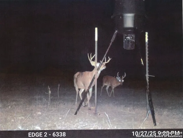 1173 Charco Rd Tuleta, TX 78162