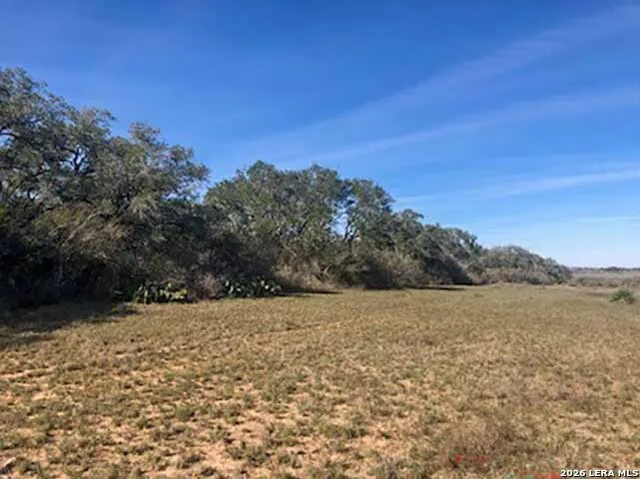 1173 Charco Rd Tuleta, TX 78162