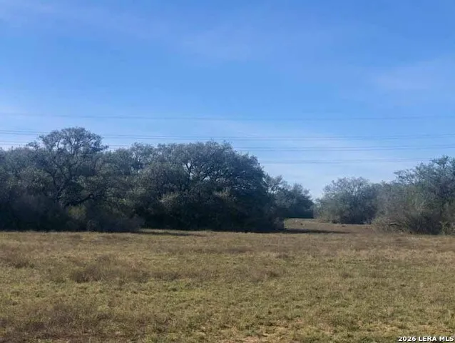 1173 Charco Rd Tuleta, TX 78162