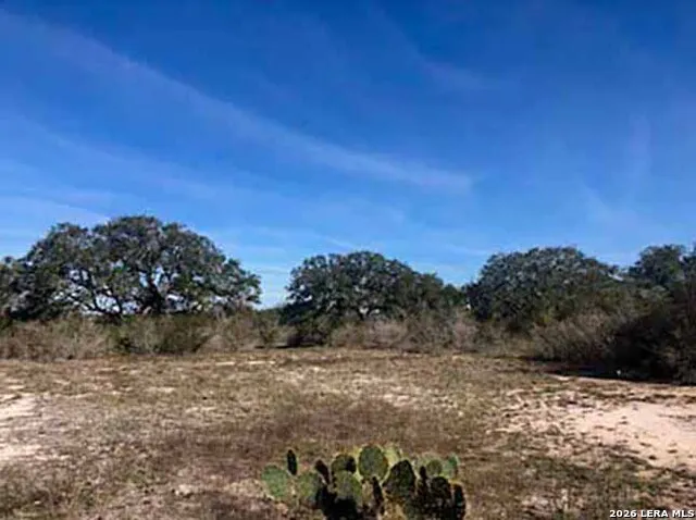 1173 Charco Rd Tuleta, TX 78162