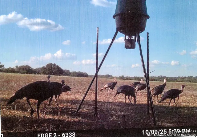 1173 Charco Rd Tuleta, TX 78162
