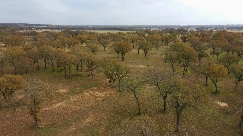 1551 Wilson Bend Road Millsap, TX 76066