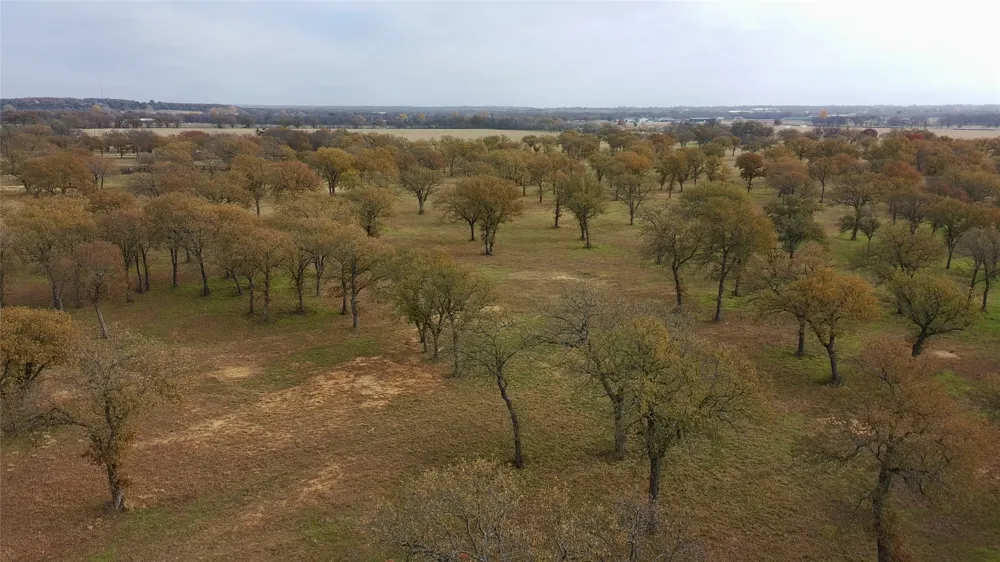 1551 Wilson Bend Road Millsap, TX 76066