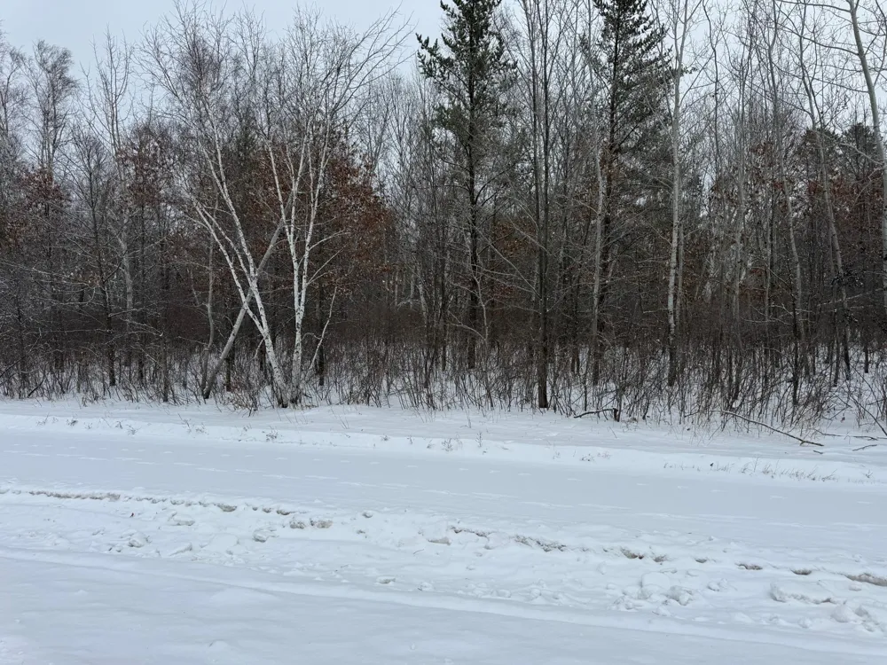 TBD 32.48 US 2 NW Cass Lake, MN 56633