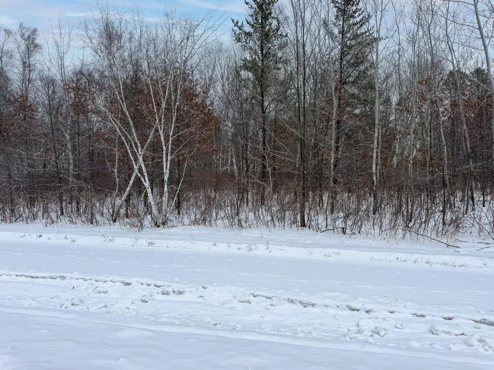 TBD 32.48 US 2 NW Cass Lake, MN 56633