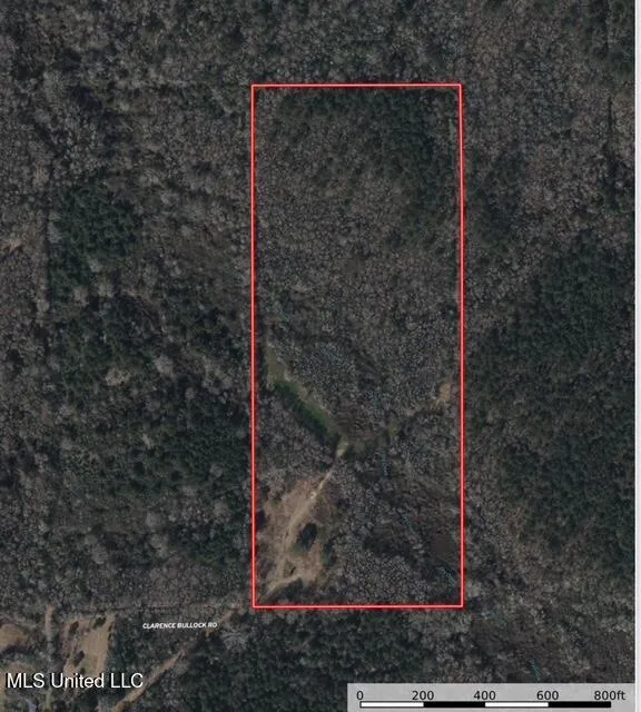 40 Clarence Bullock Road Tylertown, MS 39667