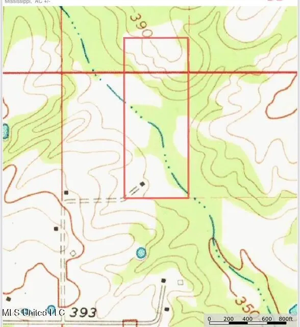40 Clarence Bullock Road Tylertown, MS 39667