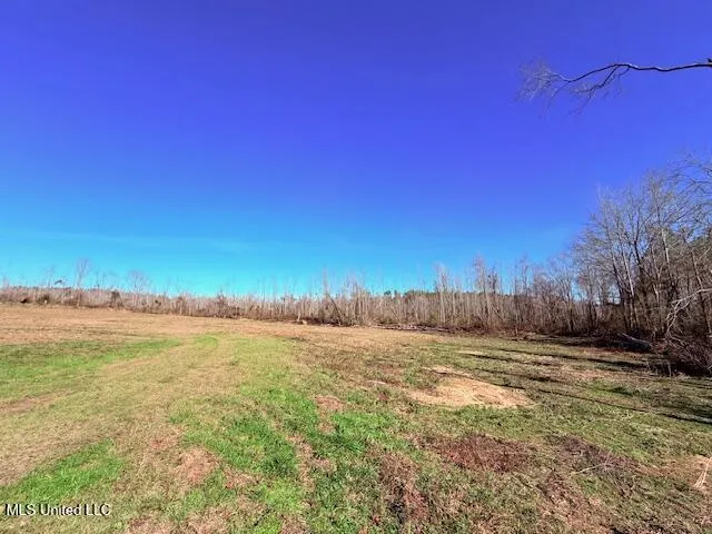 40 Clarence Bullock Road Tylertown, MS 39667