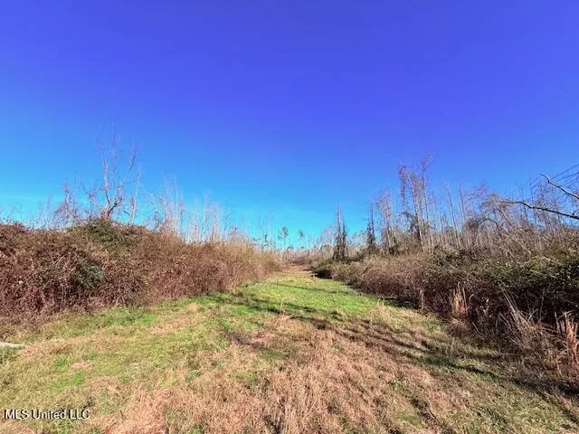 40 Clarence Bullock Road Tylertown, MS 39667