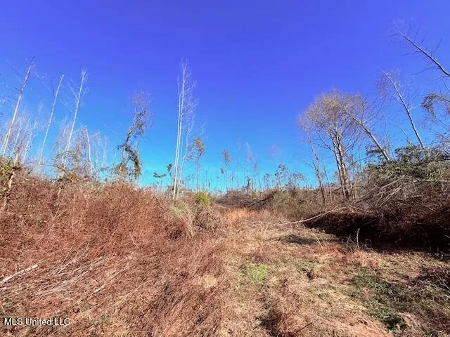 40 Clarence Bullock Road Tylertown, MS 39667