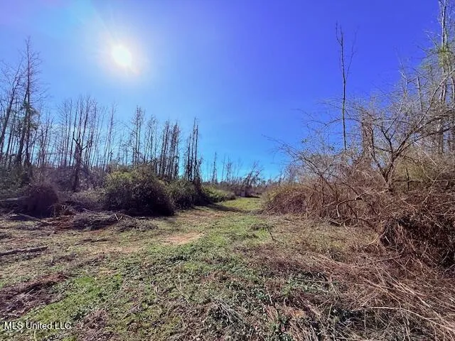 40 Clarence Bullock Road Tylertown, MS 39667