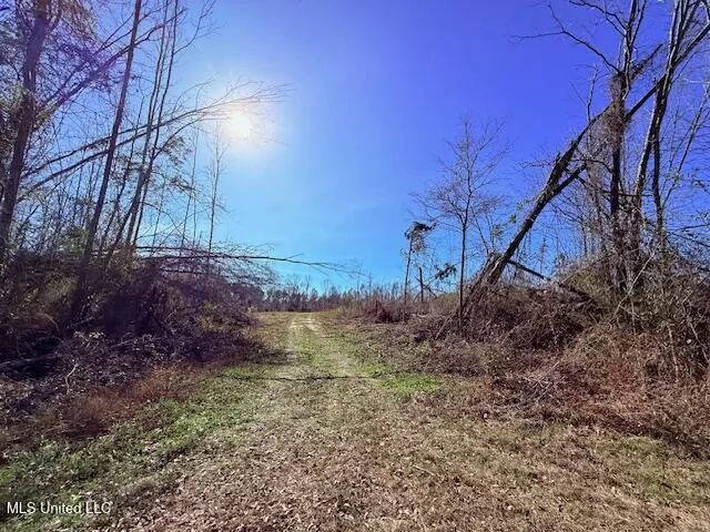 40 Clarence Bullock Road Tylertown, MS 39667