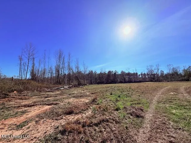 40 Clarence Bullock Road Tylertown, MS 39667