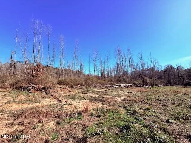 40 Clarence Bullock Road Tylertown, MS 39667