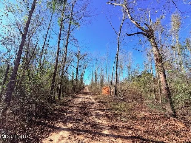 40 Clarence Bullock Road Tylertown, MS 39667