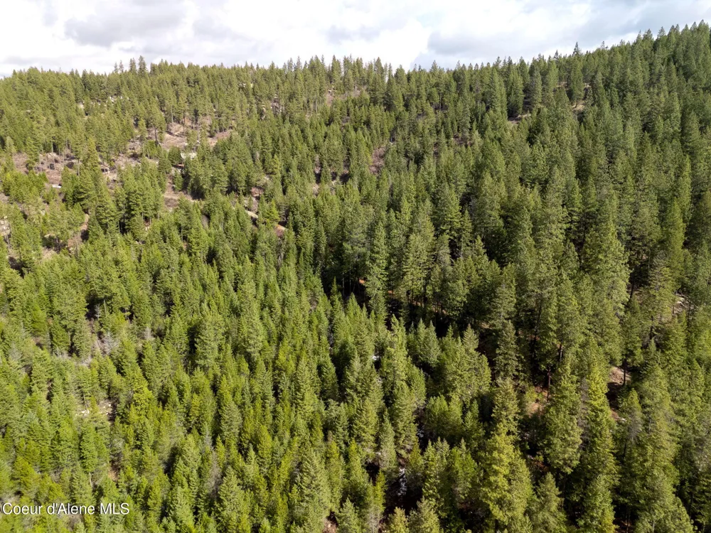 NNA Quiet Heights Rd. Athol, ID 83801
