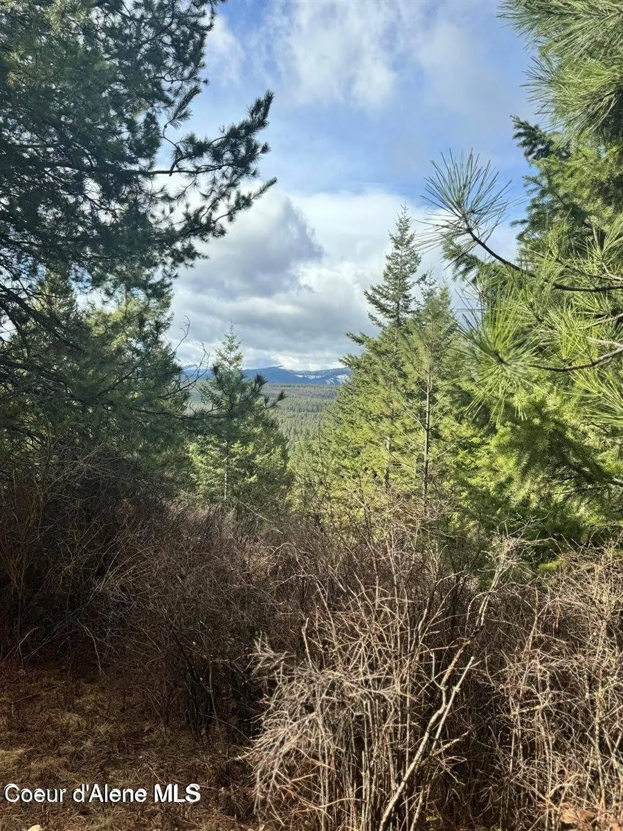NNA Quiet Heights Rd. Athol, ID 83801
