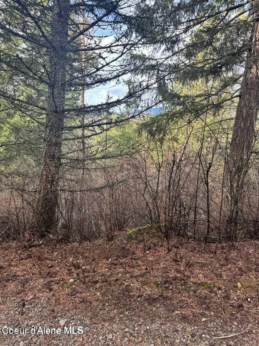 NNA Quiet Heights Rd. Athol, ID 83801