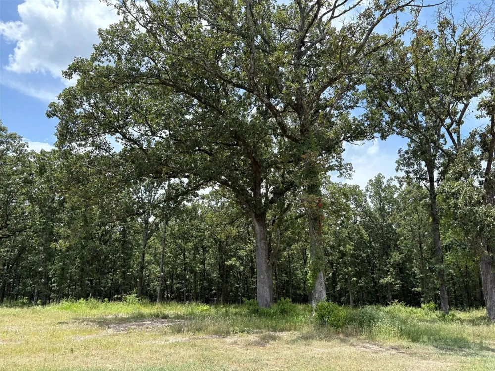 PVT 5948 #22 Yantis, TX 75497