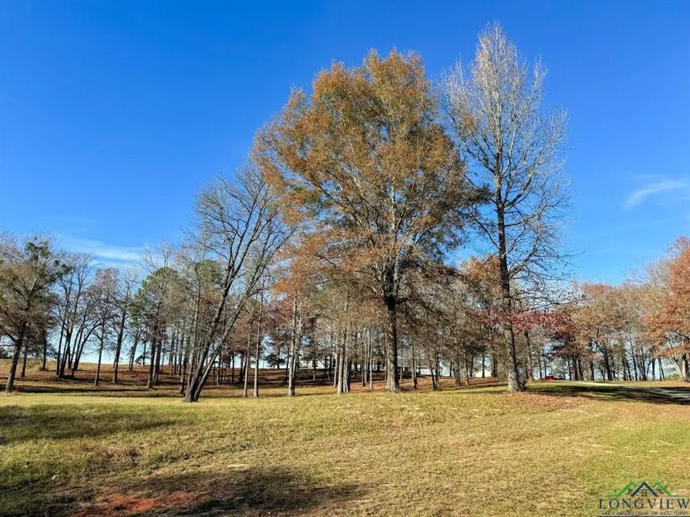 9791 Farm to Market 251 South S Bivins, TX 75555