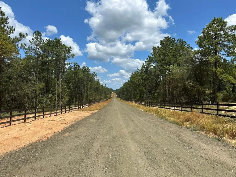 11 Timberland Branch Drive Woodville, TX 75979